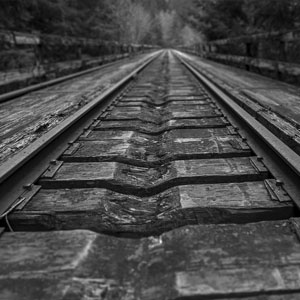 Abandon railroad trestle in the western coast range